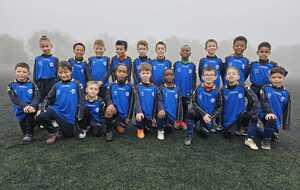 672f5a1cd6785_IMG20241109WA0008.jpg